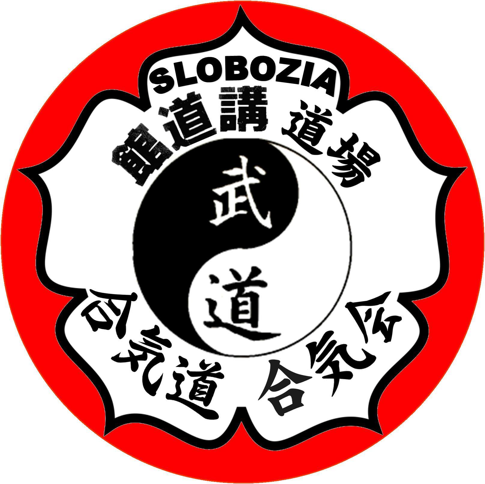 Kodokan Dojo Slobozia